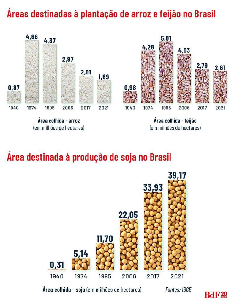 Maior Produ O De Arroz Org Nico Da Am Rica Latina Conhe A A